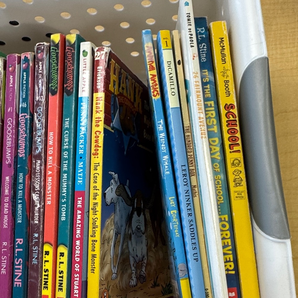 Kids Paperback Book Lot of 34 books— graphic novels, silly stories, mysteries - Picture 5 of 6